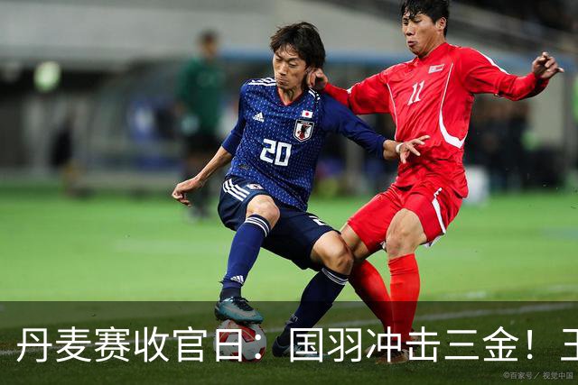 丹麦赛收官日：国羽冲击三金！王祉怡死磕山口茜，混双锁定金牌