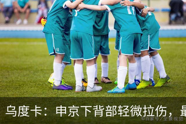 乌度卡：申京下背部轻微拉伤，最多缺席几场