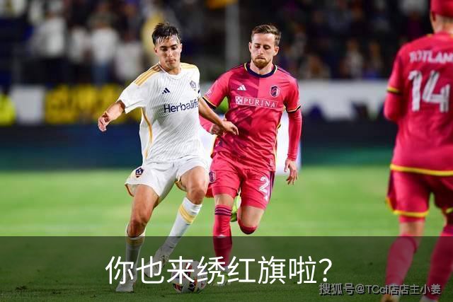 你也来绣红旗啦？