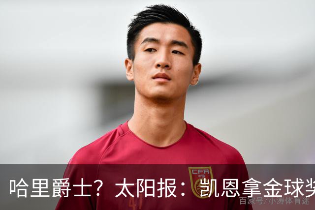 哈里爵士？太阳报：凯恩拿金球奖后封爵呼声高涨