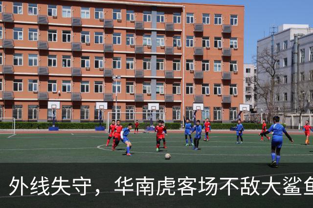 外线失守，华南虎客场不敌大鲨鱼