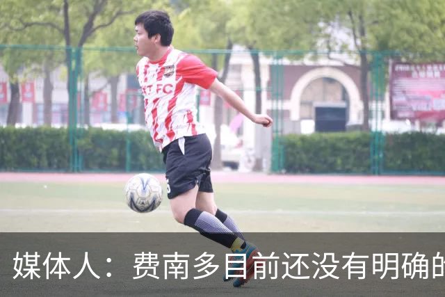 媒体人：费南多目前还没有明确的下家