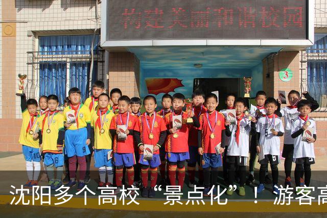 沈阳多个高校“景点化”！游客高兴，学生却懵了...