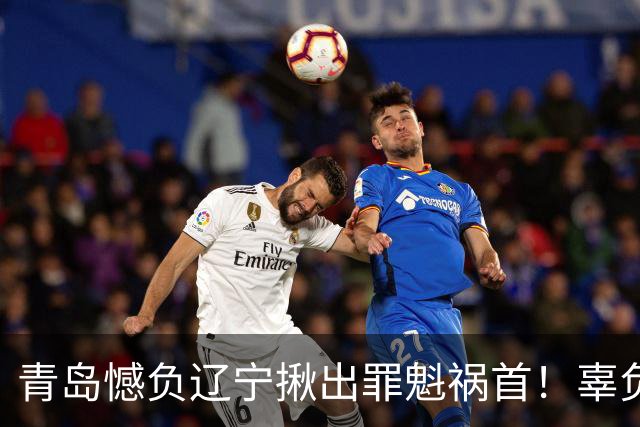 青岛憾负辽宁揪出罪魁祸首！辜负刘维伟，1800万挖来一个顶薪卧底