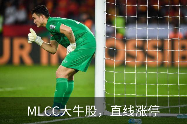 MLCC大牛股，直线涨停